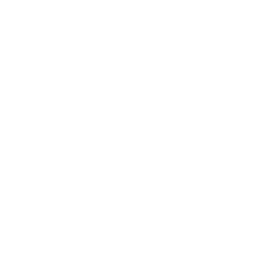 velo-website.pages.dev favicon